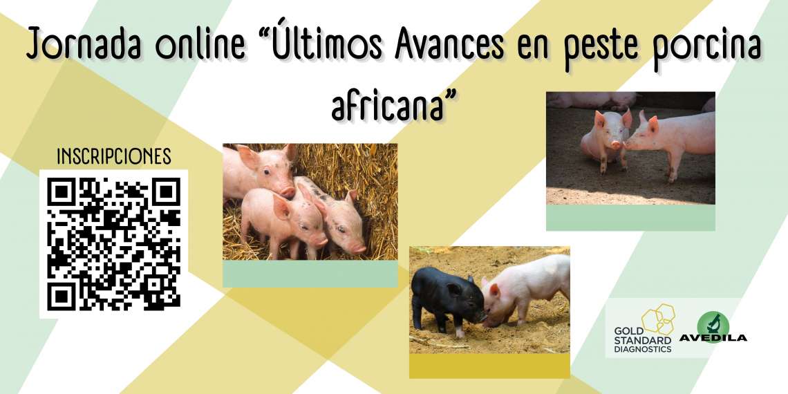 Últimos Avances en peste porcina africana - 1